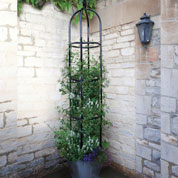 Obelisk Support for Climbing Plants YORK - 220 cm